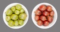 Green and red European gooseberries, in white bowls, over gray Royalty Free Stock Photo