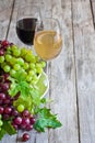 Green and red grape Royalty Free Stock Photo