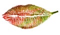 Green and red leaf with lipstick track form on white Royalty Free Stock Photo
