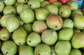 Green red pears for sale at city market Royalty Free Stock Photo