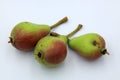 Green and red pears on a white background Royalty Free Stock Photo