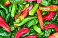 Green red pepper pattenr coloful vegetables Royalty Free Stock Photo