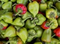 Green and red pepper, sweet pepper or paprika image, bunch of green and red paprika wallpapers