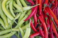 The  Green and Red Pepper texture background. Royalty Free Stock Photo