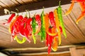 Green red peppers on rope for drying Royalty Free Stock Photo