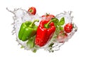 green, red peppers and tomatoes splashing in water on white background Royalty Free Stock Photo