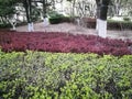 Green red road in early spring