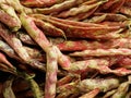 Speckled Beans For Sale In Faro Portugal