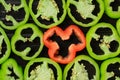 Green and red sweet pepper cut into rings on a black wooden table or board surface. Top view of round pieces of sliced Royalty Free Stock Photo