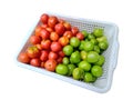 Crop tomato in a plastic bucket with a white background JPG and PNG