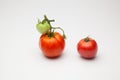 Green and red tomatoes, ripening process