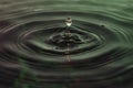 Green and red water dropping, water ripples in a pond. waves of rippling water Royalty Free Stock Photo