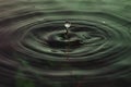 Green and red water dropping, water ripples in a pond. waves of rippling water Royalty Free Stock Photo