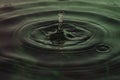 Green and red water dropping, water ripples in a pond. waves of rippling water Royalty Free Stock Photo