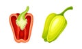 Green and red whole and half pepper bell set vector illustration Royalty Free Stock Photo