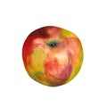 Green, red and yellow apple drawing, watercolor illustration, heathy diet style, isolated on a white background