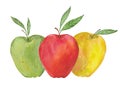 Green, red and yellow apples