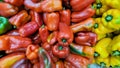 red yellow and green colored peppers for sale in market Royalty Free Stock Photo