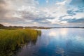 Green reed near water on amazing sky background Royalty Free Stock Photo