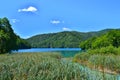 Green reeds and the lake with luminous azure-colored water. Plitvice Lakes, Croatia.