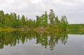 Green Reflections on a Calm Lake