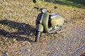 Green retro scooter motorcycle parked in park forest road Royalty Free Stock Photo
