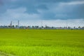 Green rice field and carst mounains. Hoi An, Vietnam. Royalty Free Stock Photo