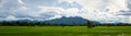 Green Rice Field with Mountains Background under Blue Sky. Royalty Free Stock Photo