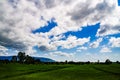 Green Rice Field with Mountains Background under Blue Sky. Royalty Free Stock Photo