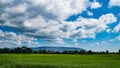 Green Rice Field with Mountains Background under Blue Sky. Royalty Free Stock Photo