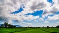 Green Rice Field with Mountains Background under Blue Sky. Royalty Free Stock Photo