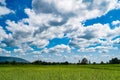 Green Rice Field with Mountains Background under Blue Sky. Royalty Free Stock Photo