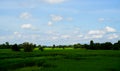 Green Rice Field with Mountains Background under Blue Sky. Royalty Free Stock Photo