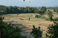 Green rice field in Pua Royalty Free Stock Photo