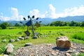 Green rice field with thai windmill Royalty Free Stock Photo