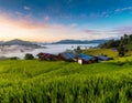 Green rice fields, beautiful morning with clouds. Fog in rice fields. Royalty Free Stock Photo