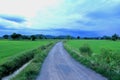 Green rice fields with beautiful nature In Photharam district Ratchaburi Province, Thailand