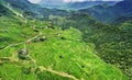 Green rice fields in the mountains of vietnam Royalty Free Stock Photo