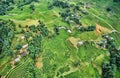 Green rice fields in the mountains of vietnam Royalty Free Stock Photo