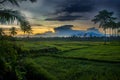 Green rice fields and natural mountain views at morning sunrise and golden sky Royalty Free Stock Photo