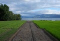 Green rice fields, Samosir Island, Lake Toba, Sumatra, Indonesia. Royalty Free Stock Photo