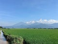 Green rice fields and streams to Rawapening Lake Royalty Free Stock Photo