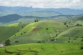 Green Rice fields on terraced in Thailand, rice field or rice terraces in the mountain, rice field in the nature, travel place Royalty Free Stock Photo