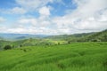 Green Rice fields on terraced in Thailand, rice field or rice terraces in the mountain and travel place for relax and feeling nice Royalty Free Stock Photo