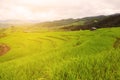 Green Rice fields on terraced in Thailand, rice field or rice terraces in the mountain and travel place for relax and feeling nice Royalty Free Stock Photo