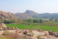 Green rice fields or terraces in the village of Hampi. Palm trees, sun,rice fields, large stones in Hampi. Tropical exotic Royalty Free Stock Photo