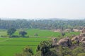 Green rice fields or terraces in the village of Hampi. Palm trees, sun,rice fields, large stones in Hampi. Tropical exotic Royalty Free Stock Photo