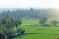 Green rice fields or terraces in the village of Hampi. Palm trees, sun, rice fields, large stones. Tropical exotic landscape. Royalty Free Stock Photo