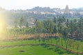 Green rice fields or terraces in the village of Hampi and the Temple of Virupaksha. Palm trees, sun, rice fields, large stones. Royalty Free Stock Photo