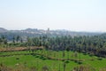 Green rice fields or terraces in the village of Hampi and the Temple of Virupaksha. Palm trees, sun, rice fields, large stones. Royalty Free Stock Photo